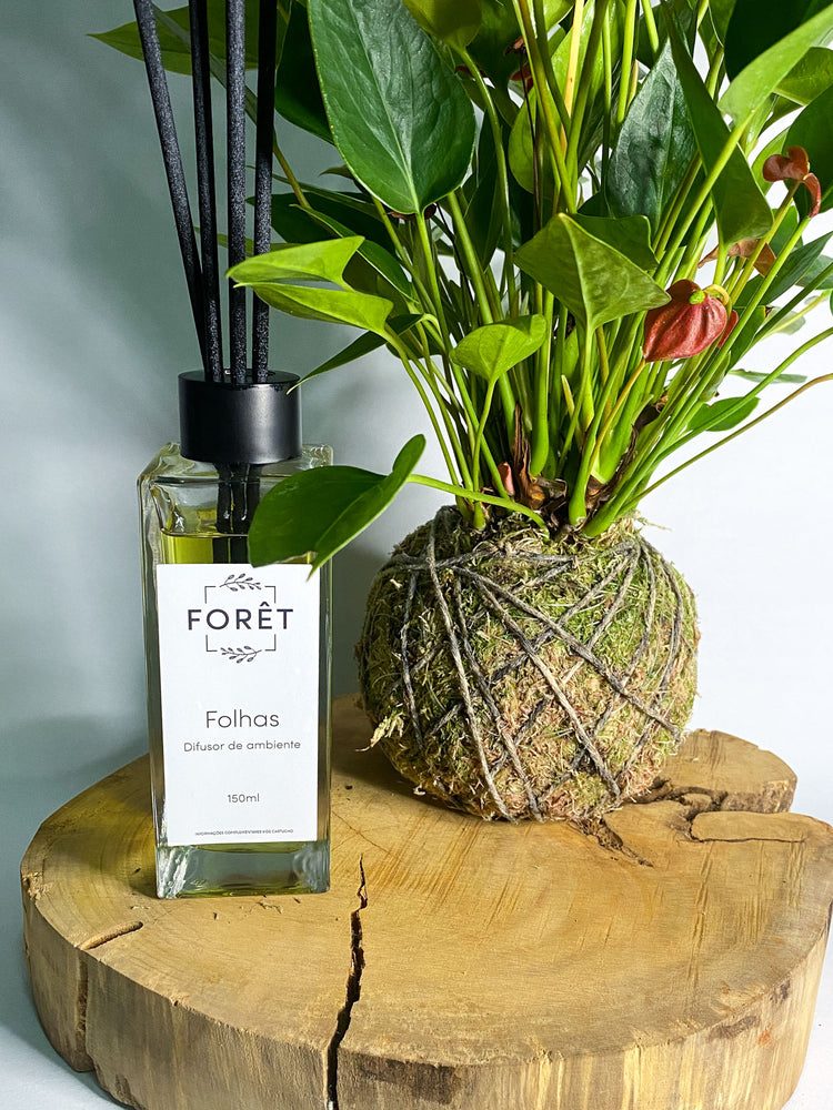 Difusor de aroma com vareta