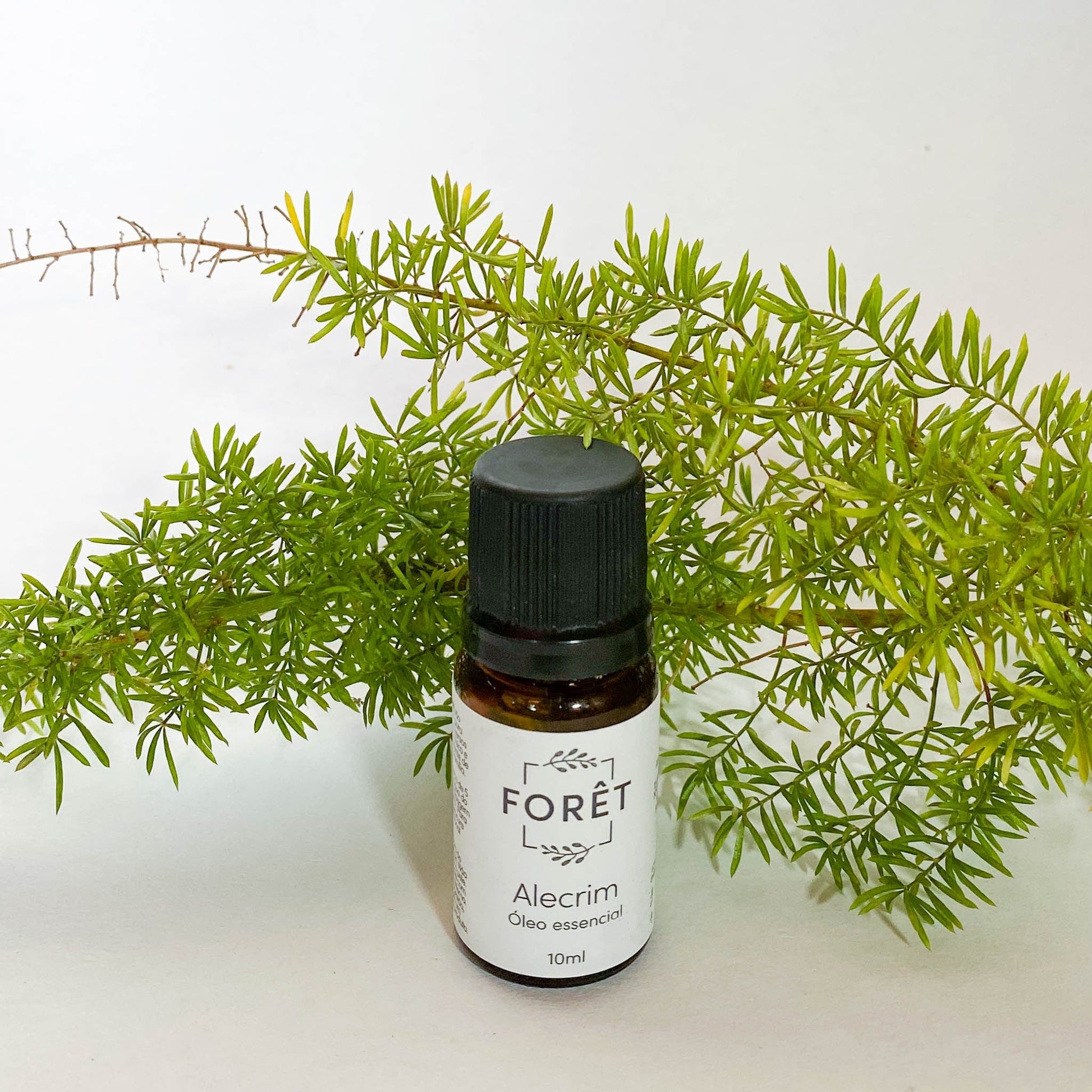 Óleo Essencial Alecrim Forêt Óleo Essencial